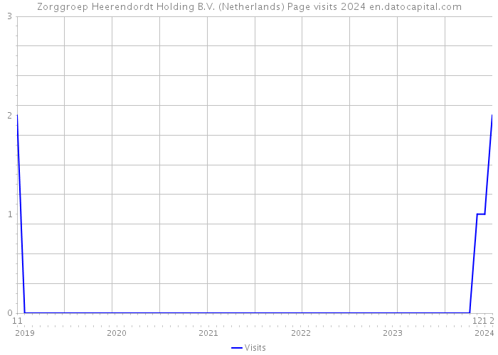 Zorggroep Heerendordt Holding B.V. (Netherlands) Page visits 2024 