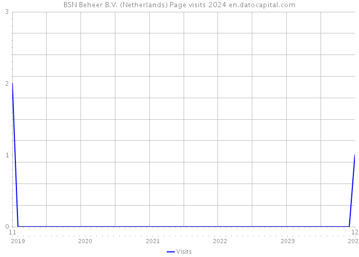 BSN Beheer B.V. (Netherlands) Page visits 2024 