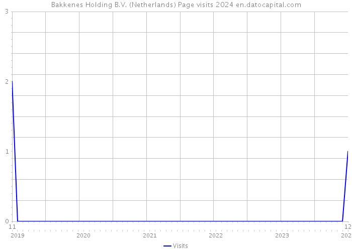 Bakkenes Holding B.V. (Netherlands) Page visits 2024 