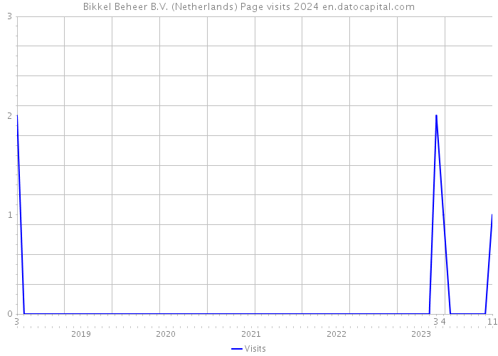 Bikkel Beheer B.V. (Netherlands) Page visits 2024 