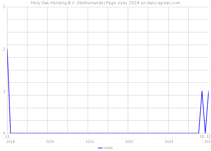 Holy Oak Holding B.V. (Netherlands) Page visits 2024 
