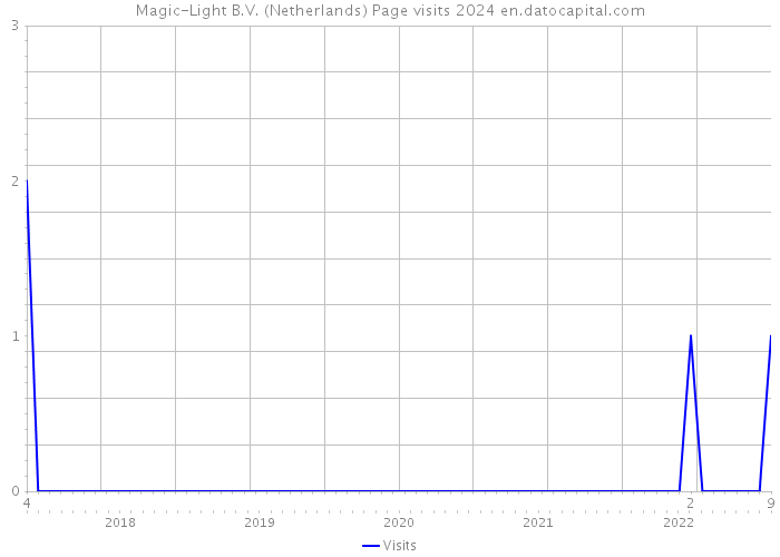 Magic-Light B.V. (Netherlands) Page visits 2024 