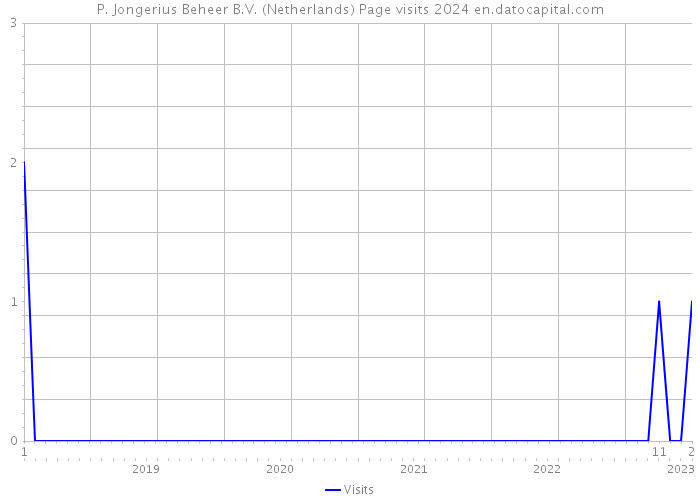 P. Jongerius Beheer B.V. (Netherlands) Page visits 2024 
