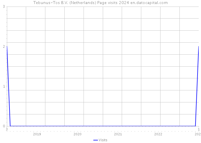 Tebunus-Tos B.V. (Netherlands) Page visits 2024 
