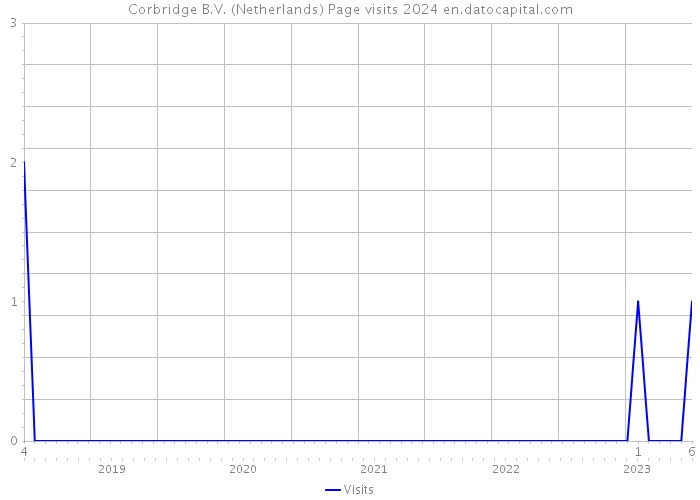 Corbridge B.V. (Netherlands) Page visits 2024 
