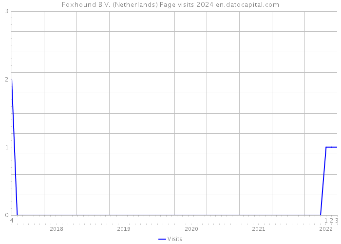 Foxhound B.V. (Netherlands) Page visits 2024 