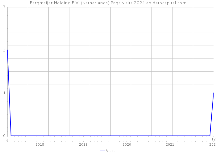 Bergmeijer Holding B.V. (Netherlands) Page visits 2024 