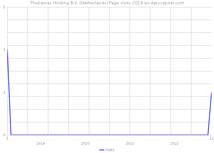 Thebanias Holding B.V. (Netherlands) Page visits 2024 