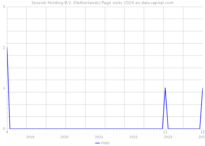 Sessink Holding B.V. (Netherlands) Page visits 2024 