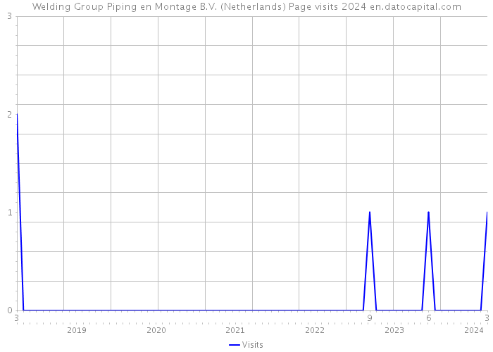 Welding Group Piping en Montage B.V. (Netherlands) Page visits 2024 