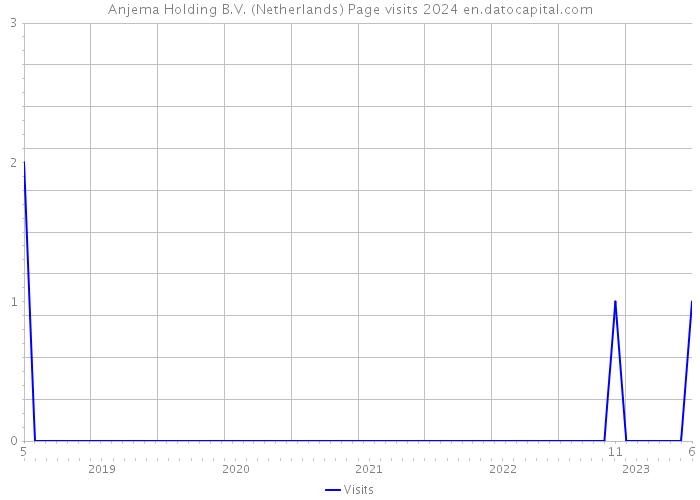 Anjema Holding B.V. (Netherlands) Page visits 2024 