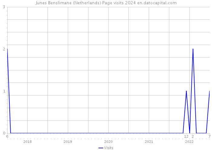 Junes Benslimane (Netherlands) Page visits 2024 