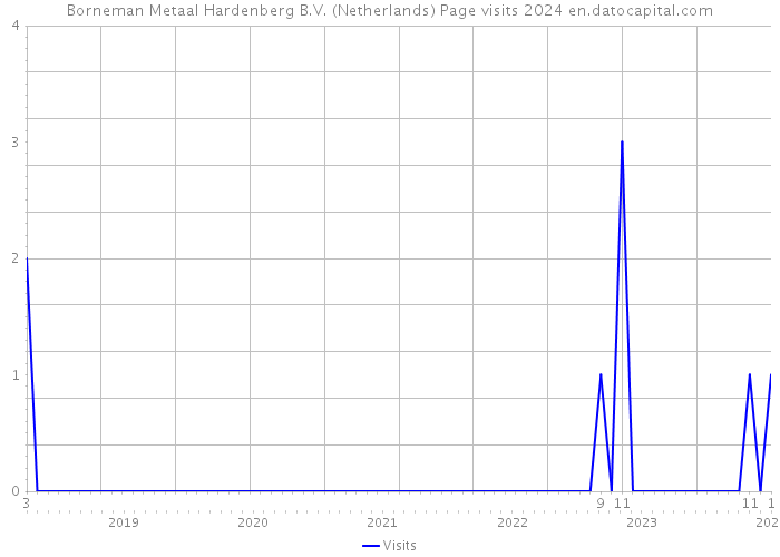 Borneman Metaal Hardenberg B.V. (Netherlands) Page visits 2024 