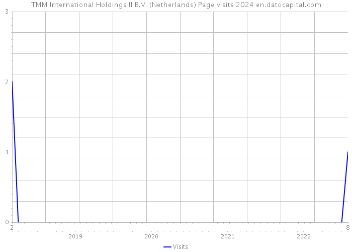 TMM International Holdings II B.V. (Netherlands) Page visits 2024 