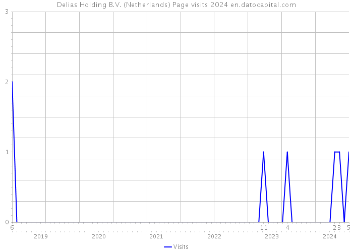 Delias Holding B.V. (Netherlands) Page visits 2024 