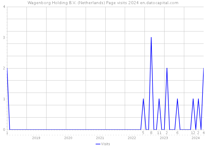 Wagenborg Holding B.V. (Netherlands) Page visits 2024 