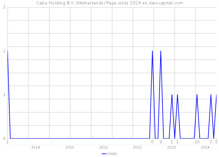 Cabu Holding B.V. (Netherlands) Page visits 2024 