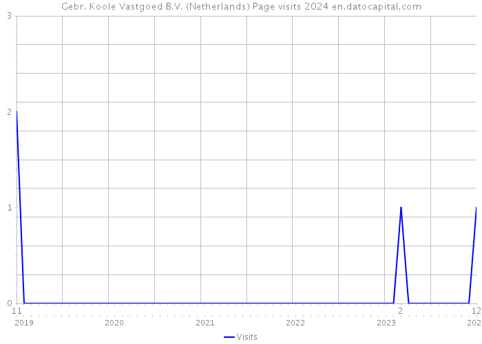 Gebr. Koole Vastgoed B.V. (Netherlands) Page visits 2024 