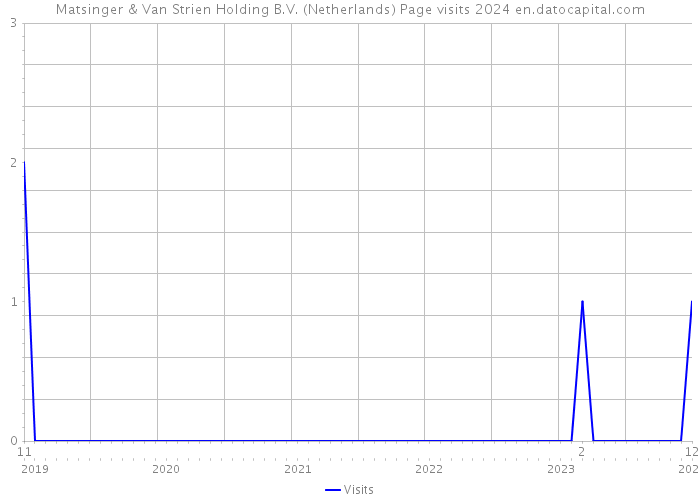 Matsinger & Van Strien Holding B.V. (Netherlands) Page visits 2024 
