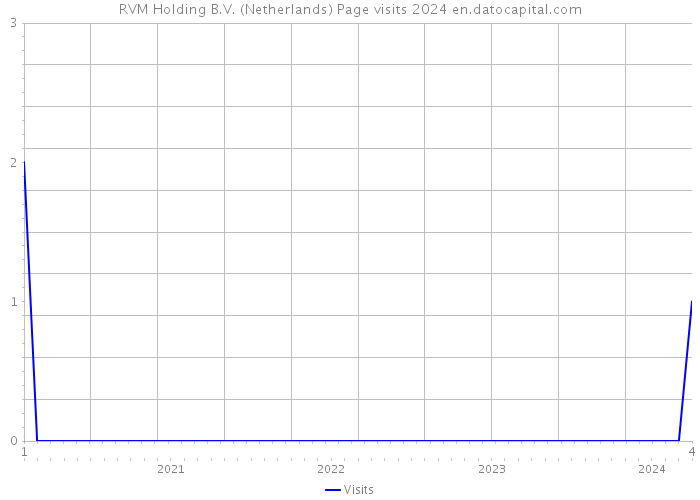 RVM Holding B.V. (Netherlands) Page visits 2024 