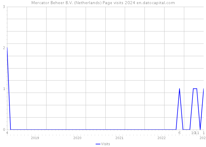 Mercator Beheer B.V. (Netherlands) Page visits 2024 