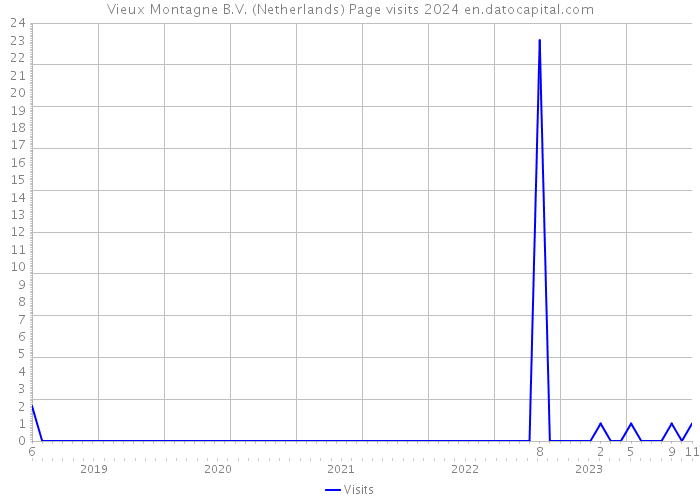 Vieux Montagne B.V. (Netherlands) Page visits 2024 