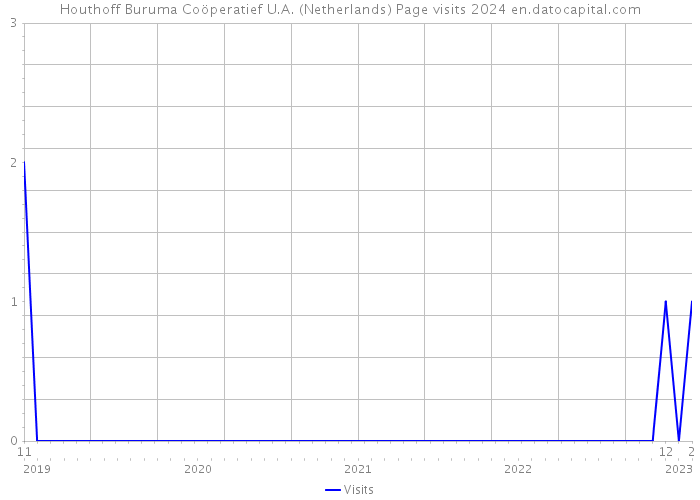Houthoff Buruma Coöperatief U.A. (Netherlands) Page visits 2024 