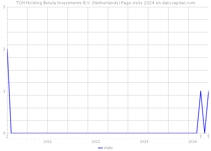 TGH Holding Betula Investments B.V. (Netherlands) Page visits 2024 