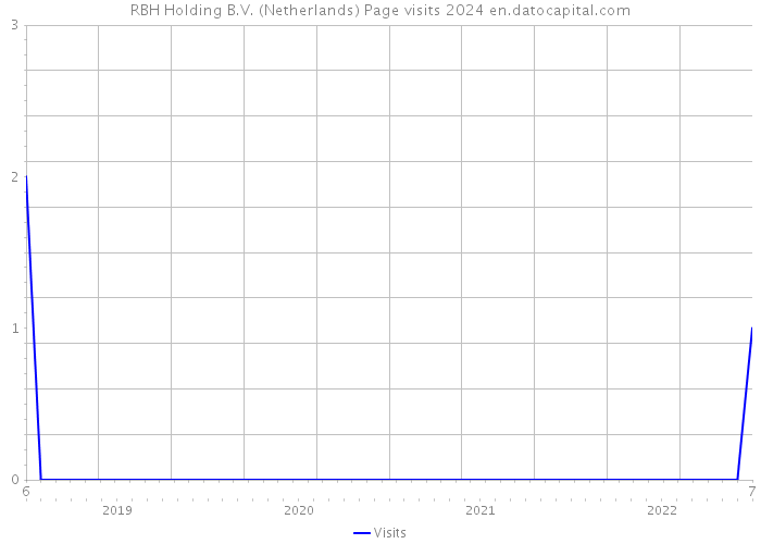 RBH Holding B.V. (Netherlands) Page visits 2024 