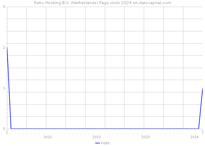 Reko Holding B.V. (Netherlands) Page visits 2024 