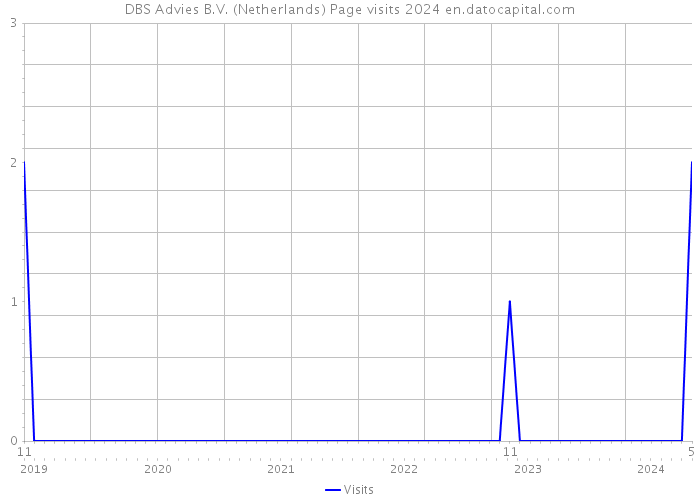 DBS Advies B.V. (Netherlands) Page visits 2024 