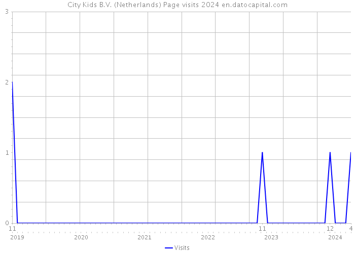 City Kids B.V. (Netherlands) Page visits 2024 
