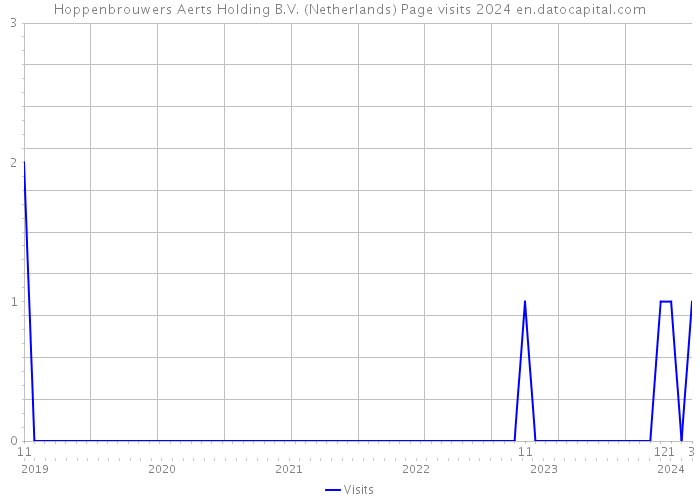 Hoppenbrouwers Aerts Holding B.V. (Netherlands) Page visits 2024 