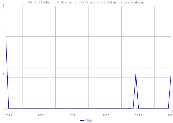 Weijer Holding B.V. (Netherlands) Page visits 2024 