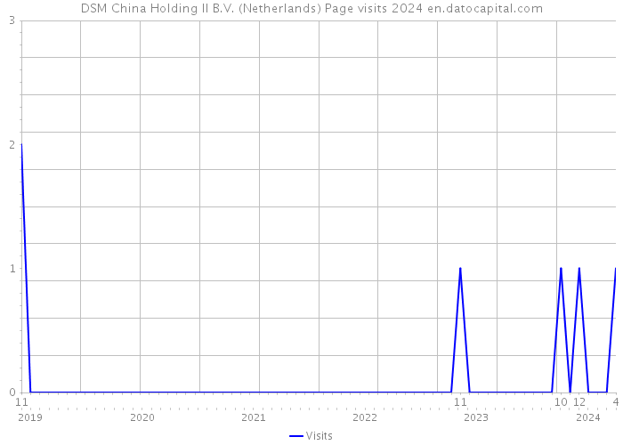 DSM China Holding II B.V. (Netherlands) Page visits 2024 