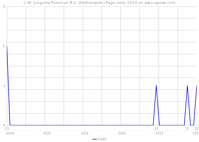 C.M. Jongsma Pensioen B.V. (Netherlands) Page visits 2024 