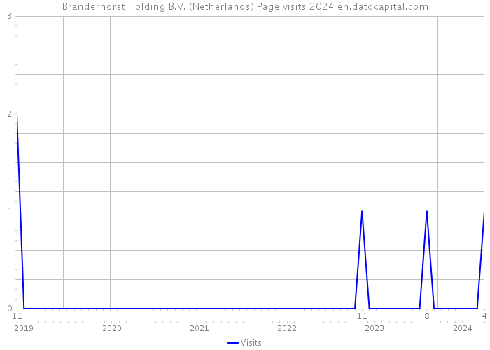Branderhorst Holding B.V. (Netherlands) Page visits 2024 