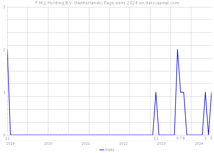 F.M.J. Holding B.V. (Netherlands) Page visits 2024 