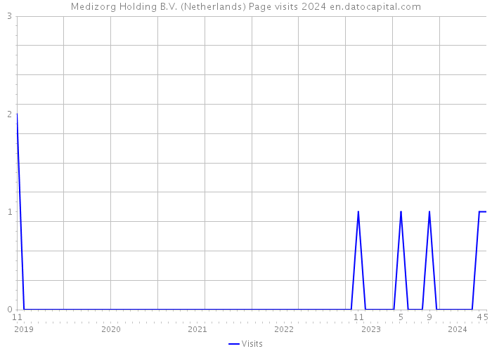 Medizorg Holding B.V. (Netherlands) Page visits 2024 