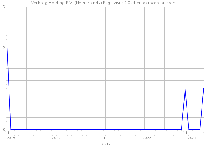 Verborg Holding B.V. (Netherlands) Page visits 2024 