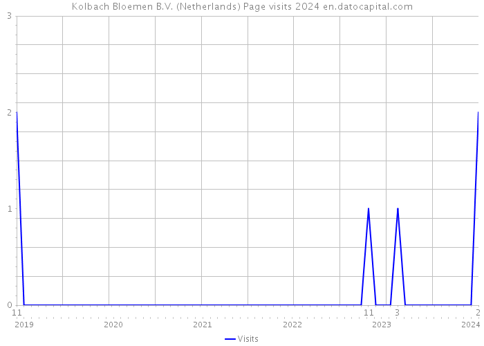 Kolbach Bloemen B.V. (Netherlands) Page visits 2024 
