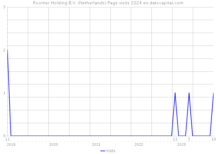 Roomer Holding B.V. (Netherlands) Page visits 2024 