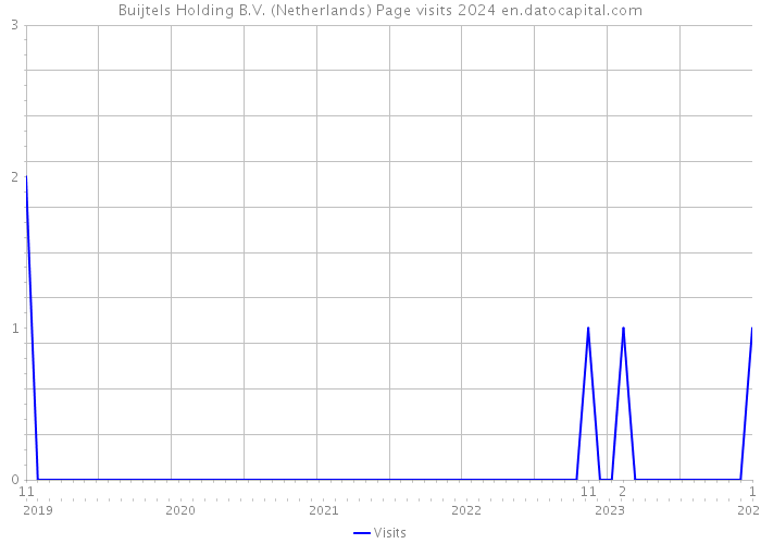 Buijtels Holding B.V. (Netherlands) Page visits 2024 