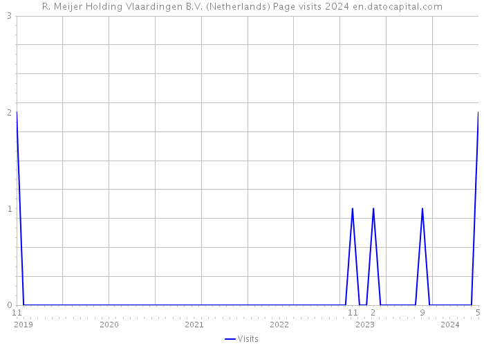 R. Meijer Holding Vlaardingen B.V. (Netherlands) Page visits 2024 