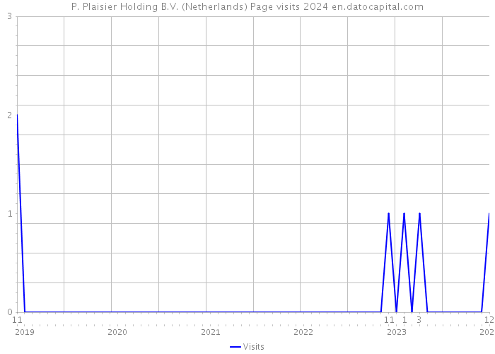 P. Plaisier Holding B.V. (Netherlands) Page visits 2024 