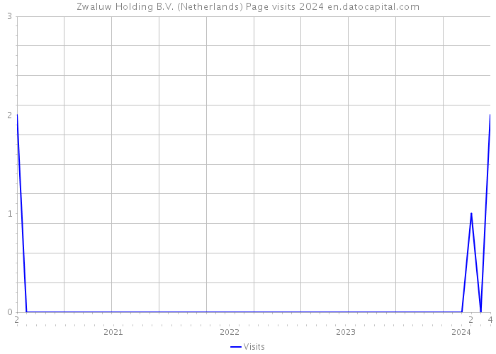 Zwaluw Holding B.V. (Netherlands) Page visits 2024 