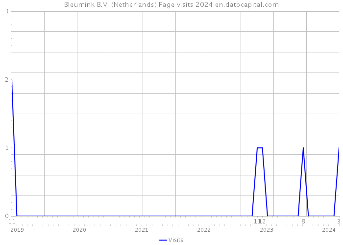 Bleumink B.V. (Netherlands) Page visits 2024 