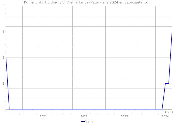 HM Hendriks Holding B.V. (Netherlands) Page visits 2024 