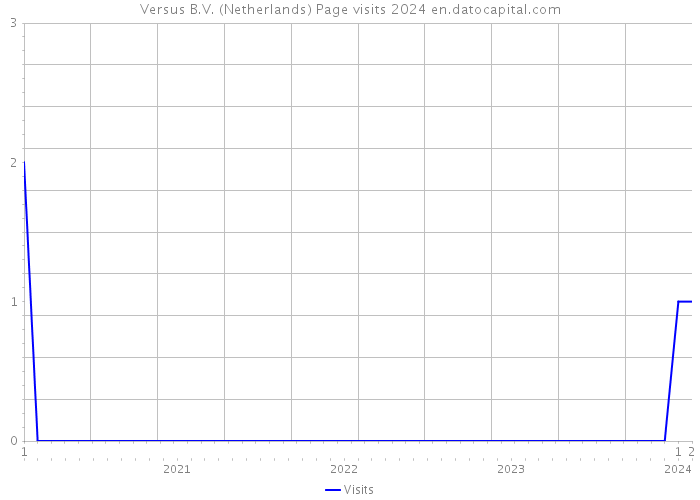 Versus B.V. (Netherlands) Page visits 2024 