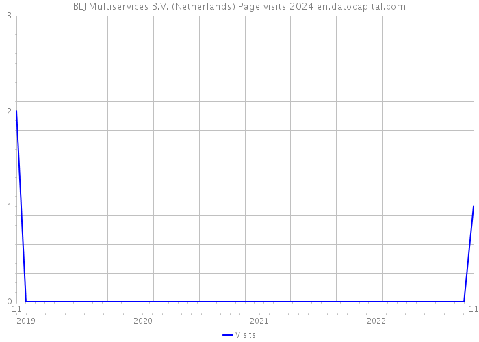 BLJ Multiservices B.V. (Netherlands) Page visits 2024 